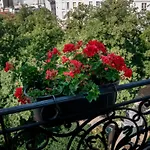 Hotel Du Parc Montparnasse